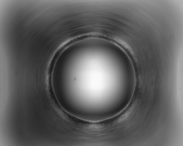 X0000088701029200706071535