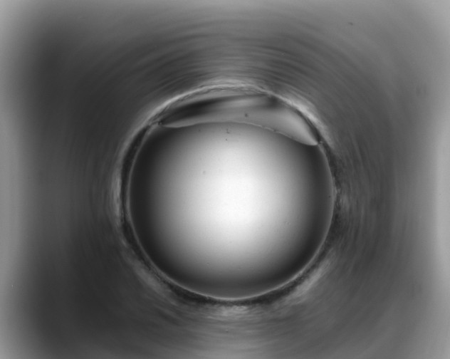 X0000088701030200706071535