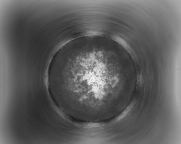 X0000088701034200706071535