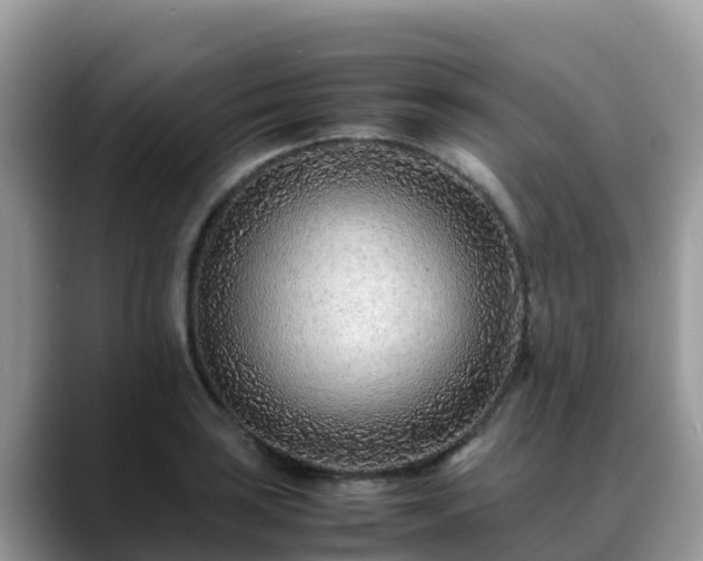 X0000088701035200706071535