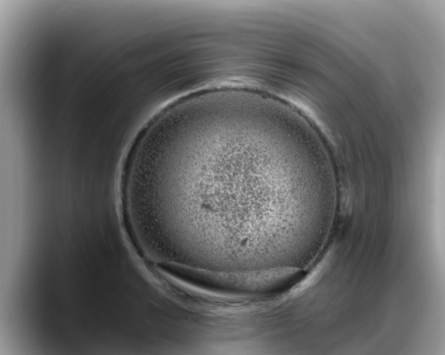 X0000088701038200706071536