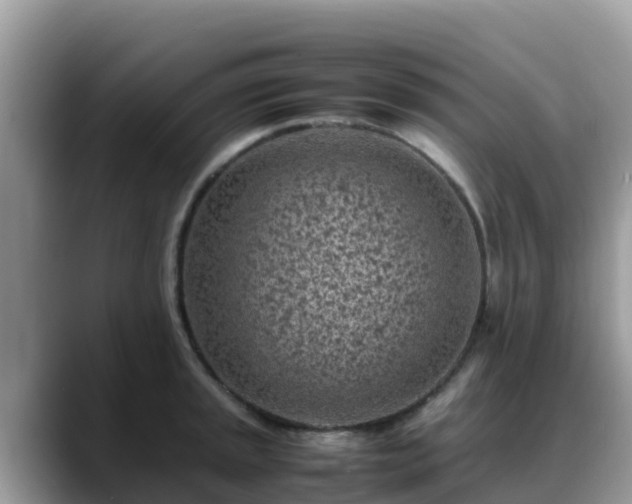 X0000088701045200706071536