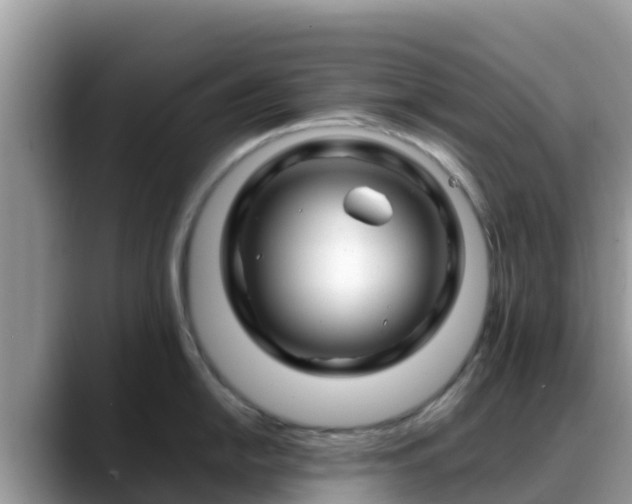 X0000088701054200706071536