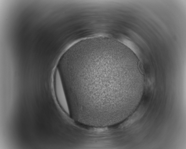 X0000088701055200706071536