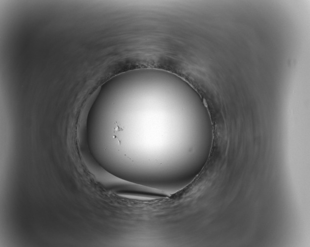 X0000088701057200706071535