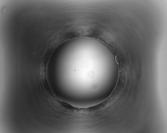 X0000088701058200706071535