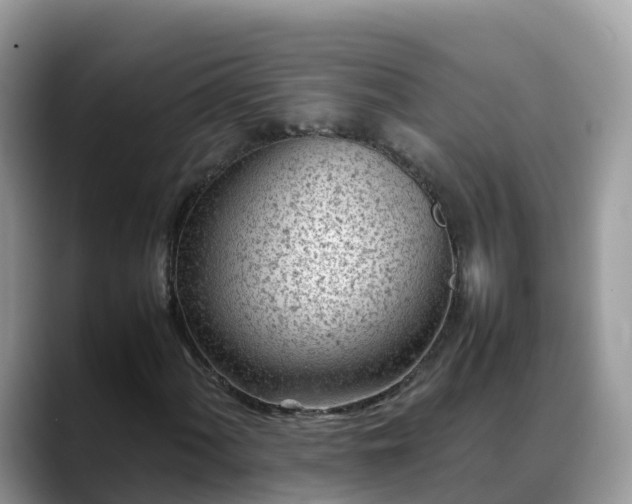 X0000088701060200706071535