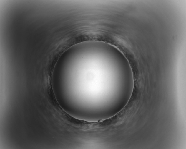 X0000088701061200706071535