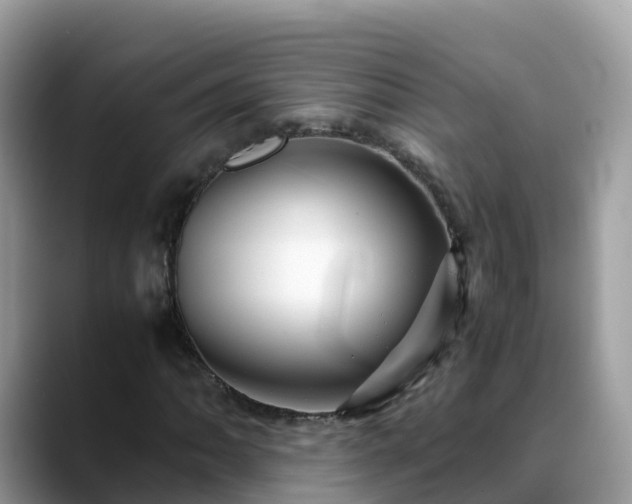 X0000088701062200706071535