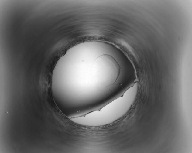 X0000088701064200706071535