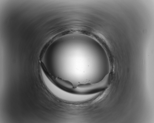 X0000088701065200706071535
