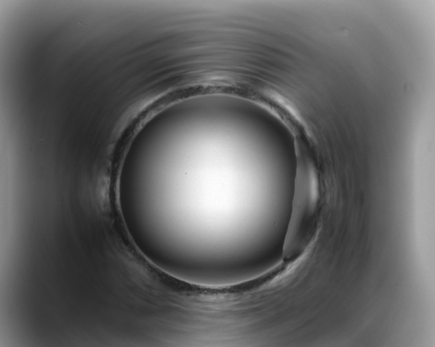 X0000088701066200706071535