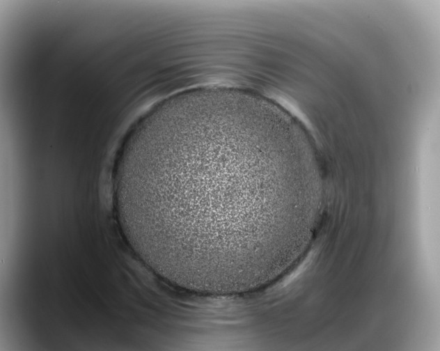 X0000088701067200706071535
