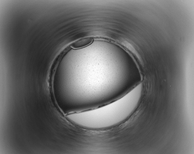 X0000088701068200706071535
