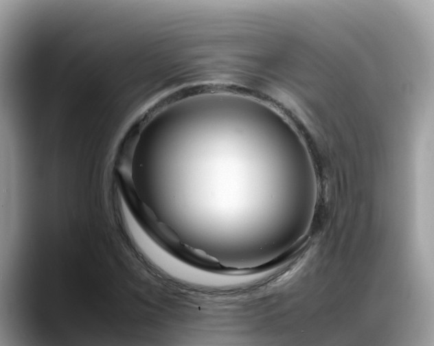 X0000088701069200706071535