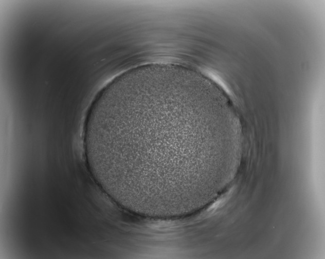 X0000088701071200706071535
