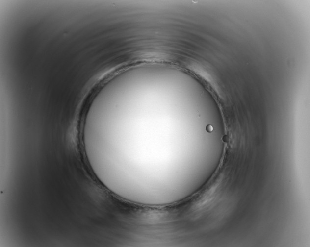 X0000088701074200706071535
