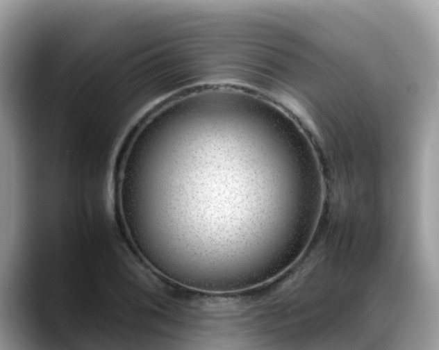X0000088701076200706071535