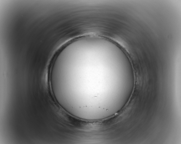 X0000088701078200706071535