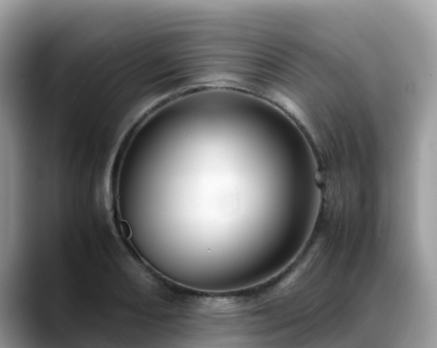 X0000088701082200706071535
