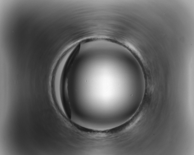 X0000088701085200706071535