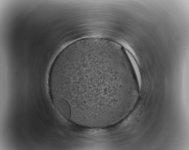 X0000088701091200706071535