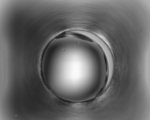 X0000088701093200706071535