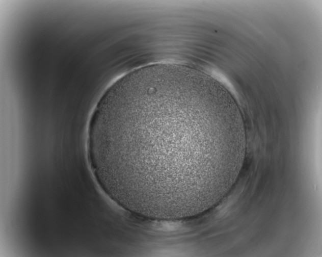 X0000088701095200706071535