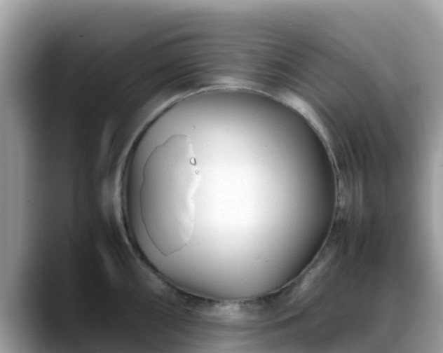 X0000088701098200706071535