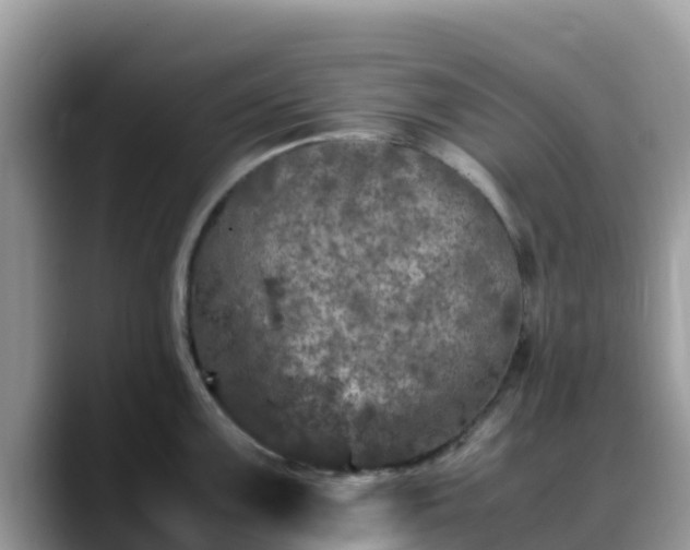 X0000088701099200706071535