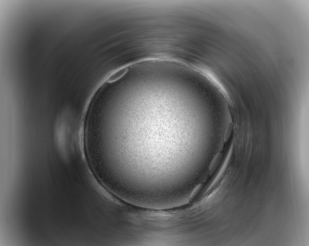 X0000088701100200706071535