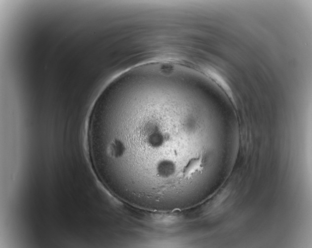X0000088701103200706071535