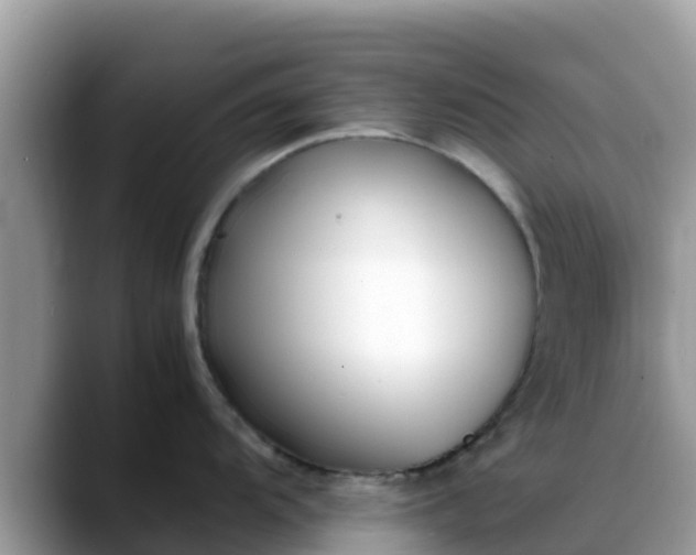 X0000088701104200706071535