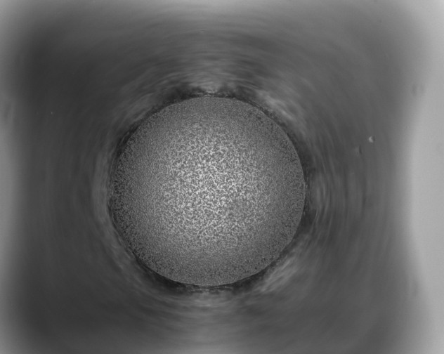 X0000088701105200706071534