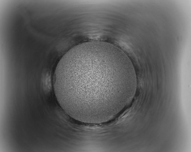 X0000088701106200706071534