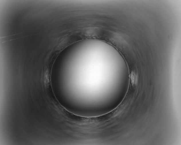 X0000088701107200706071534