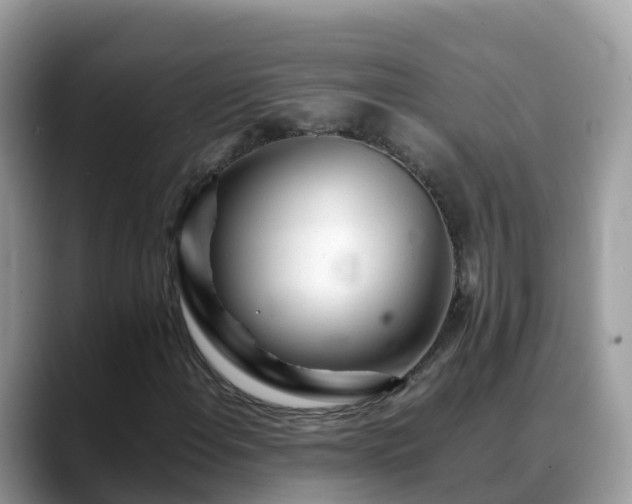 X0000088701108200706071534