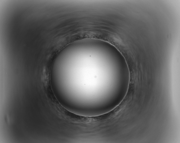 X0000088701109200706071534