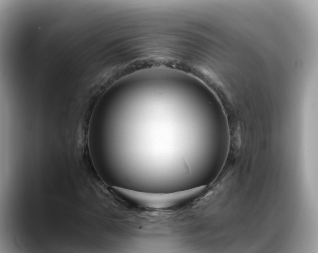 X0000088701110200706071534