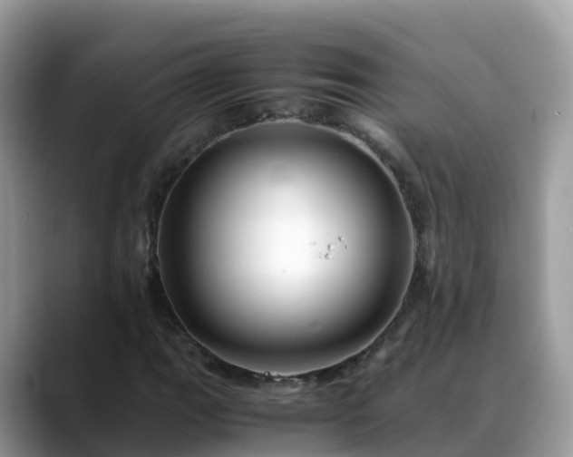 X0000088701111200706071534