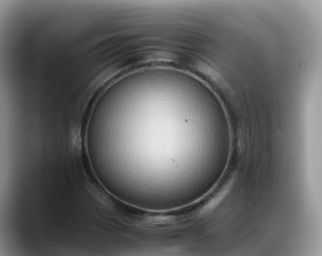 X0000088701113200706071534
