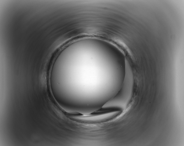 X0000088701114200706071534