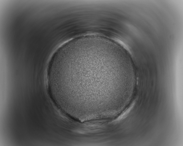X0000088701117200706071534
