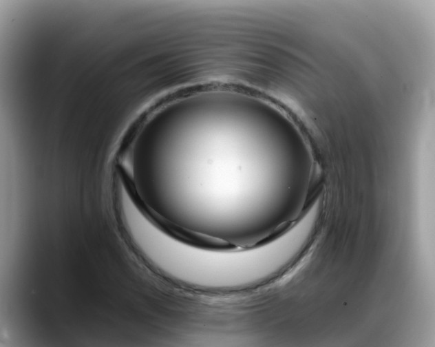 X0000088701118200706071534