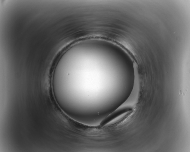 X0000088701119200706071534