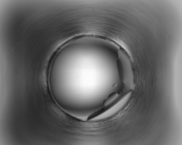 X0000088701120200706071534