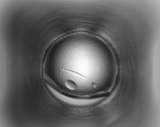 X0000088701121200706071534