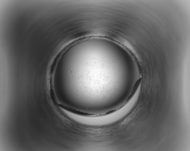 X0000088701124200706071534