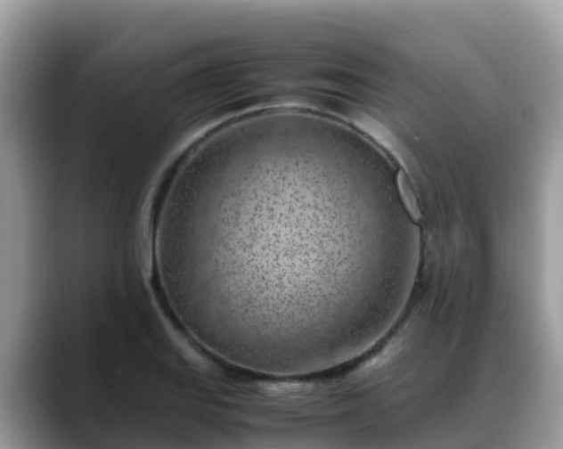 X0000088701127200706071534