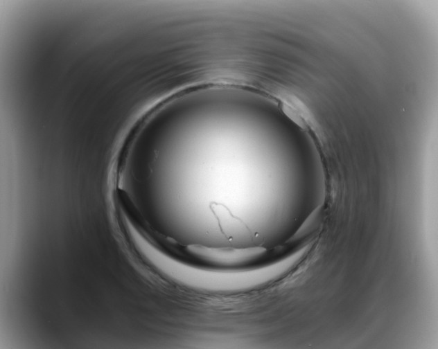 X0000088701128200706071534